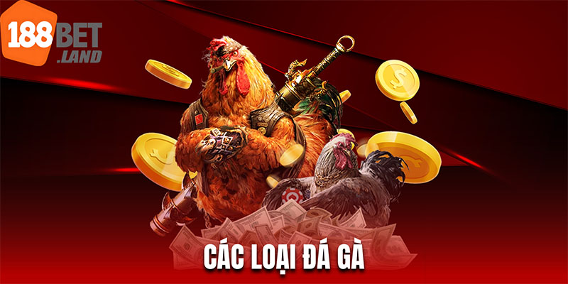 Các Loại Gà Đá