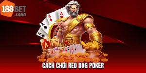 Cách Chơi Red Dog Poker: Hướng Dẫn Chi Tiết Từ A-Z Cho Người Mới Bắt Đầu