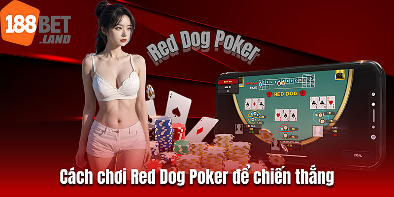 Cách chơi Red Dog Poker để chiến thắng