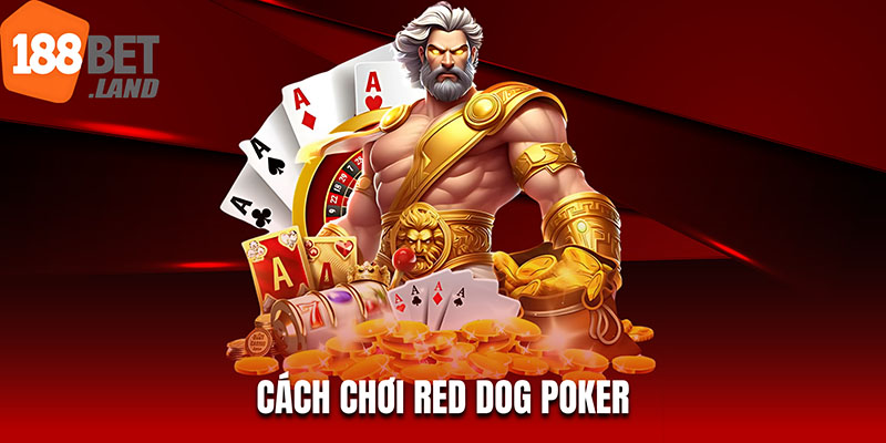 Cách Chơi Red Dog Poker: Hướng Dẫn Chi Tiết Từ A-Z Cho Người Mới Bắt Đầu