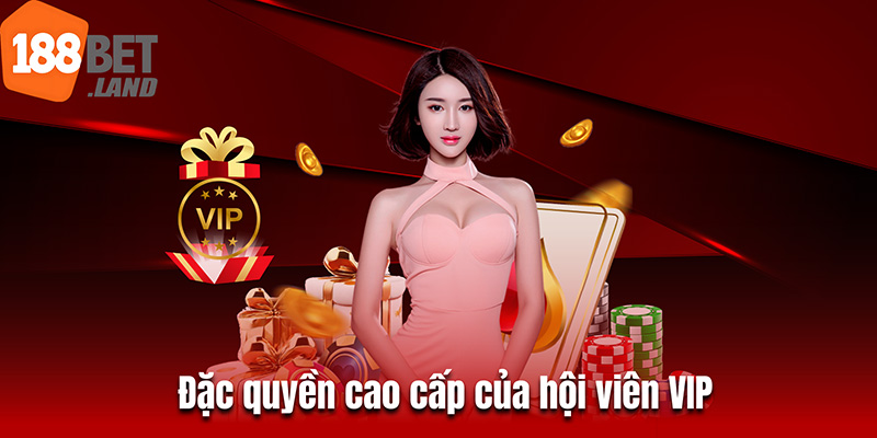 Đặc quyền cao cấp của hội viên VIP