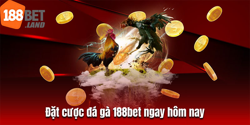 Đặt cược đá gà 188bet ngay hôm nay