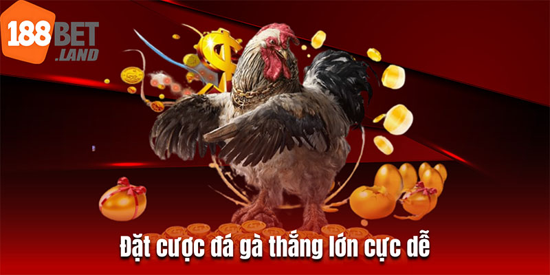 Đặt cược đá gà thắng lớn cực dễ