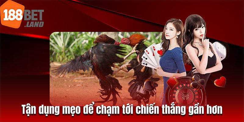 Tận dụng mẹo để chạm tới chiến thắng gần hơn